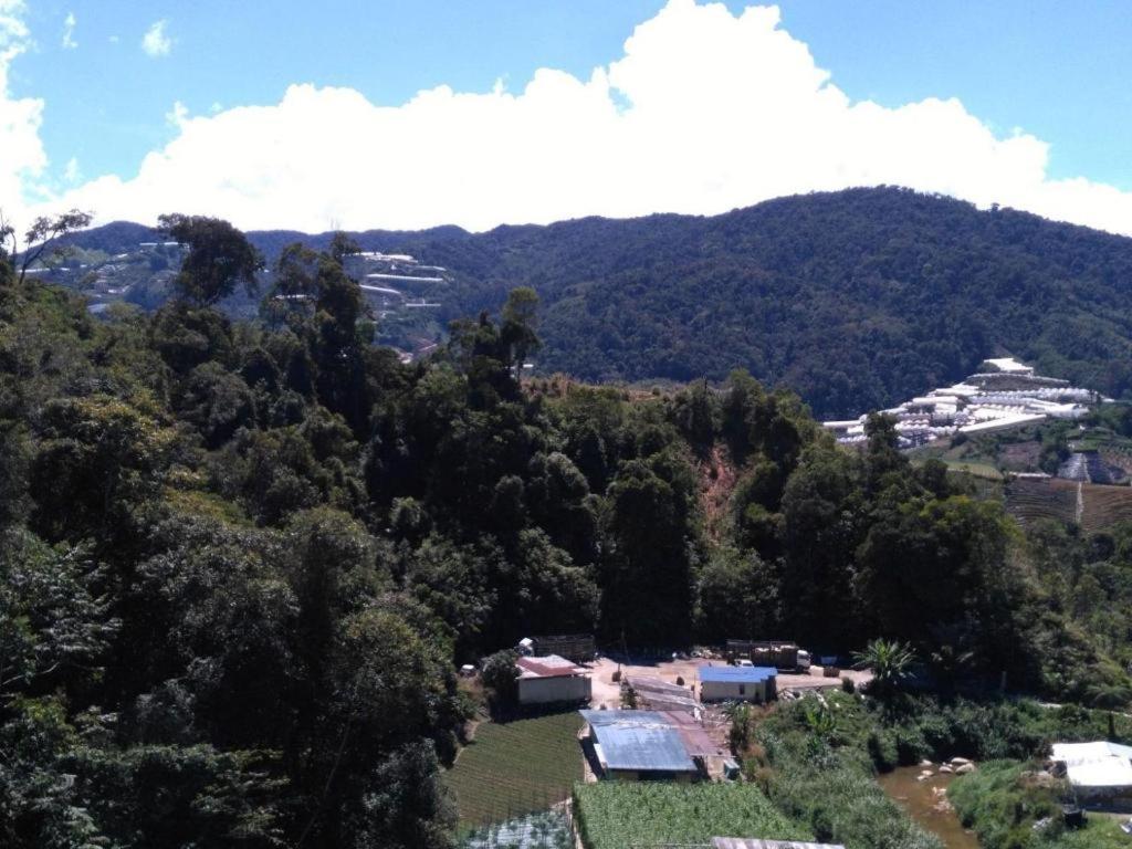 The Pines Hotel Kampung Kuala Terla Экстерьер фото